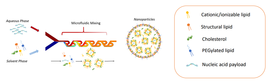 NanoGenerator Flex-M schematic